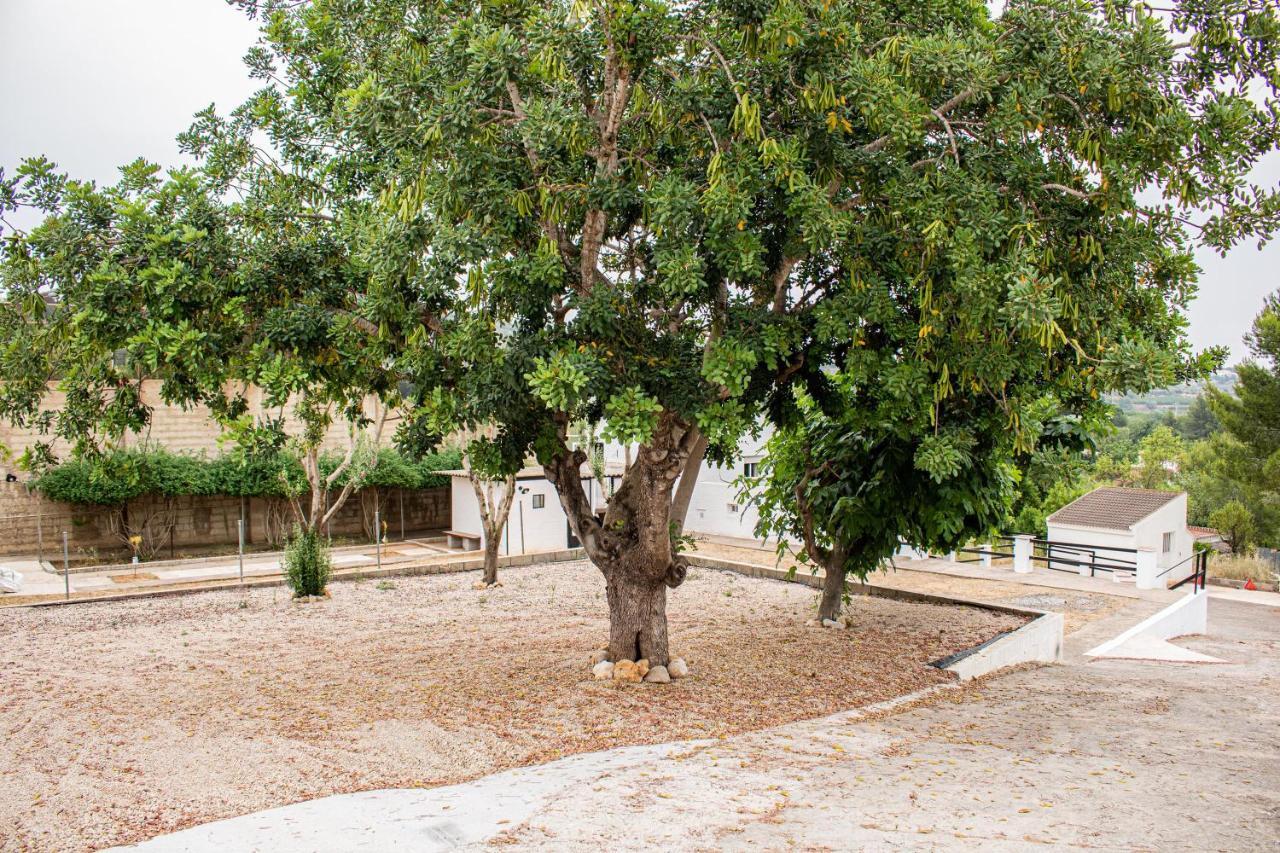 Casa Mas Montanas Bed & Breakfast Godelleta Dış mekan fotoğraf