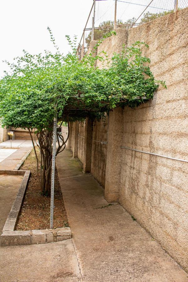 Casa Mas Montanas Bed & Breakfast Godelleta Dış mekan fotoğraf